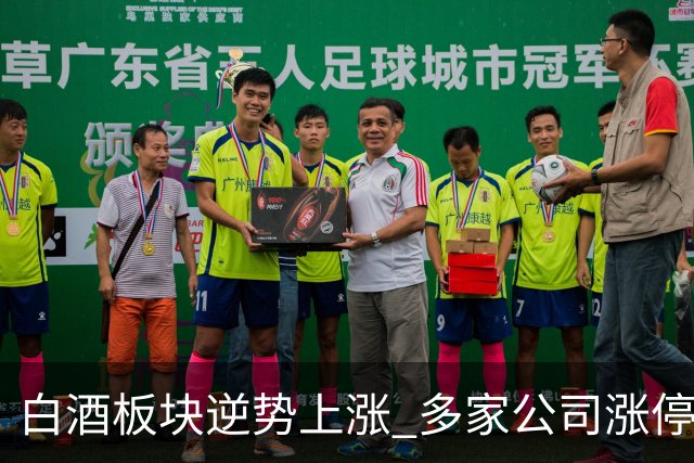 白酒板块逆势上涨 多家公司涨停现象分析